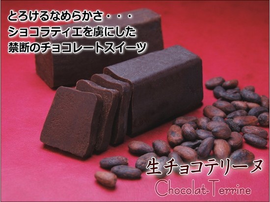 チョコケーキより濃厚 生チョコテリーヌ バレンタインには食べやすい手が汚れないチョコレート